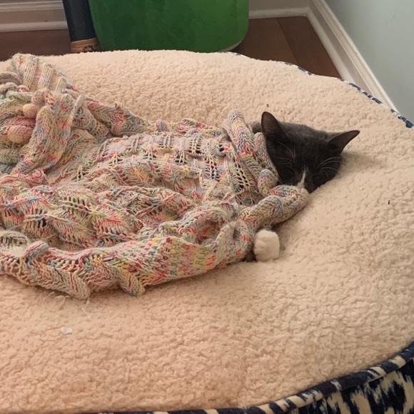 Meet your Posher, Lexi - Picture 1 of 1